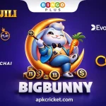 Bigbunny Casino