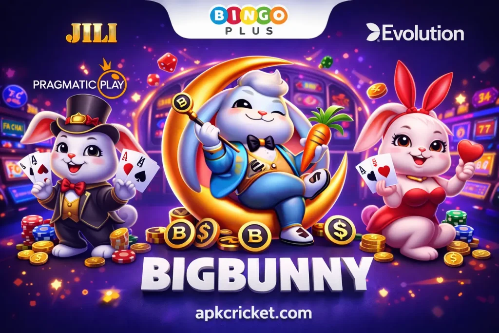 Bigbunny Casino
