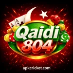 Qaidi 804 Game