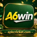 A6Win