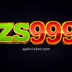 ZS999
